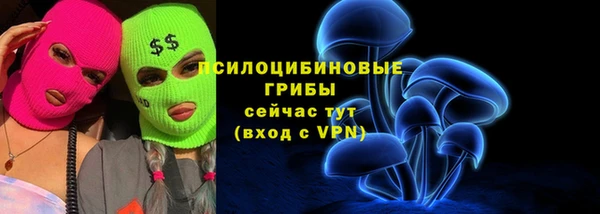 ГАЛЛЮЦИНОГЕННЫЕ ГРИБЫ Алзамай