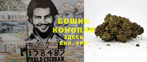 ГАЛЛЮЦИНОГЕННЫЕ ГРИБЫ Алзамай