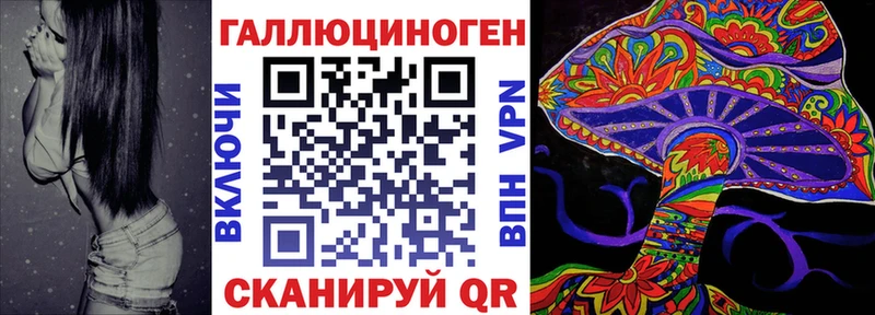 Купить закладки  Шелехов  Псилоцибиновые грибы прущие грибы 